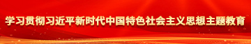 多人日逼视频免费视频学习贯彻习近平新时代中国特色社会主义思想主题教育